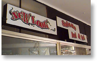 newlook1.jpg (22188 byte)